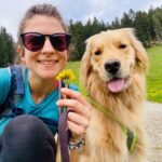 American Golden Retriever mit Besitzer und Blume
